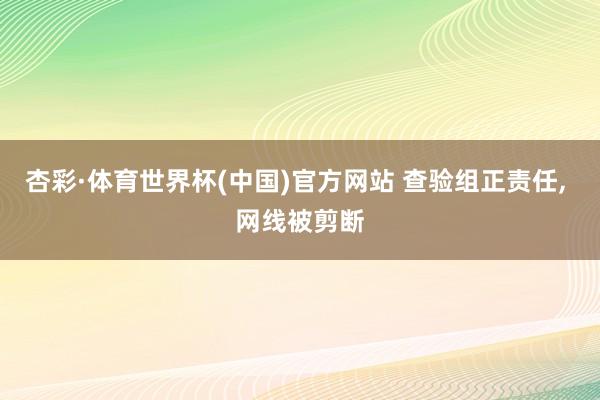 杏彩·体育世界杯(中国)官方网站 查验组正责任， 网线被剪断