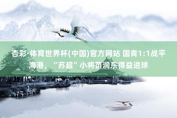 杏彩·体育世界杯(中国)官方网站 国青1:1战平海港，“苏超”小将苗润东得益进球