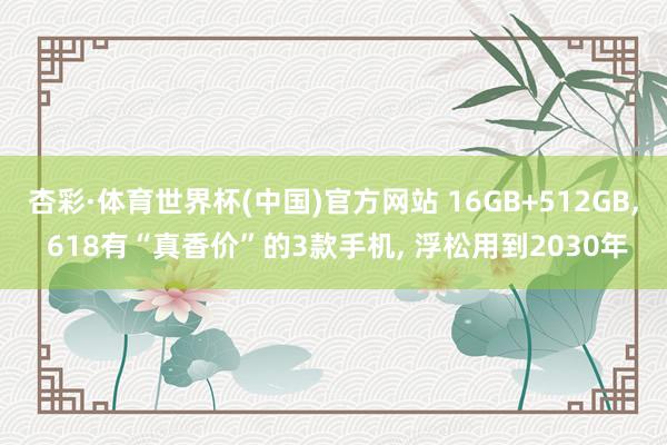 杏彩·体育世界杯(中国)官方网站 16GB+512GB, 618有“真香价”的3款手机, 浮松用到2030年