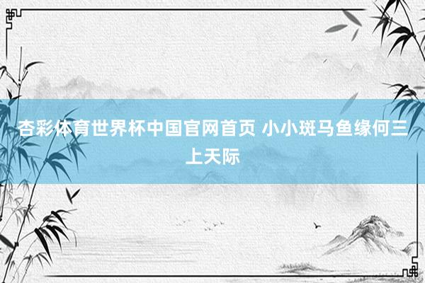 杏彩体育世界杯中国官网首页 小小斑马鱼缘何三上天际