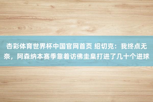 杏彩体育世界杯中国官网首页 绍切克:我终点无奈,阿森纳本赛季靠着访佛圭臬打进了几十个进球
