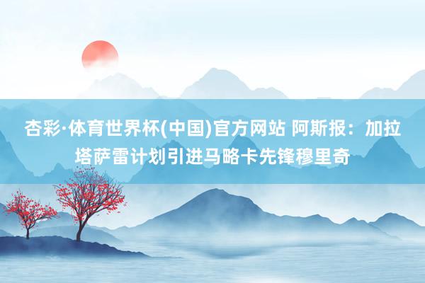 杏彩·体育世界杯(中国)官方网站 阿斯报:加拉塔萨雷计划引进马略卡先锋穆里奇