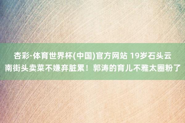 杏彩·体育世界杯(中国)官方网站 19岁石头云南街头卖菜不嫌弃脏累!郭涛的育儿不雅太圈粉了