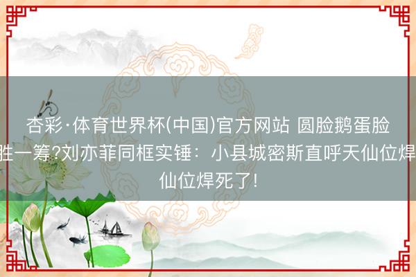 杏彩·体育世界杯(中国)官方网站 圆脸鹅蛋脸谁更胜一筹?刘亦菲同框实锤:小县城密斯直呼天仙位焊死了!